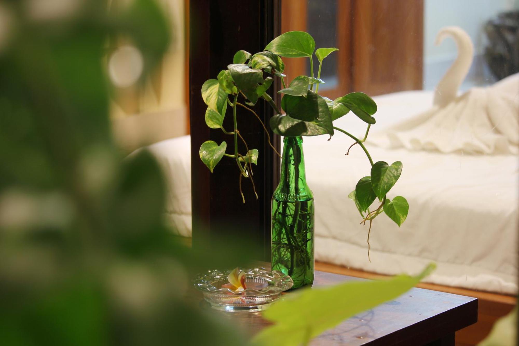 Sari Gong Guest House, A Trishula Collection อูบุด ภายนอก รูปภาพ