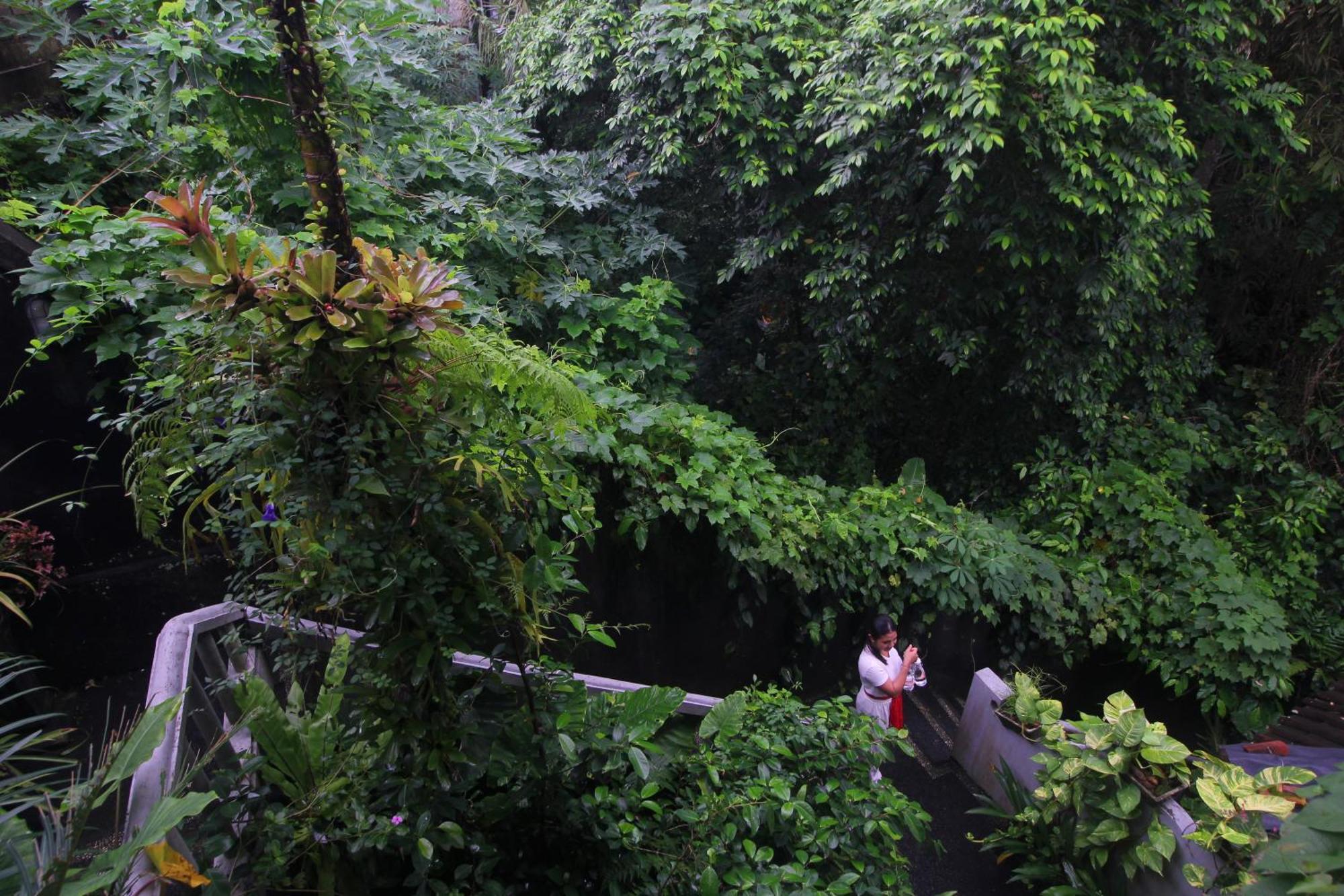 Sari Gong Guest House, A Trishula Collection อูบุด ภายนอก รูปภาพ