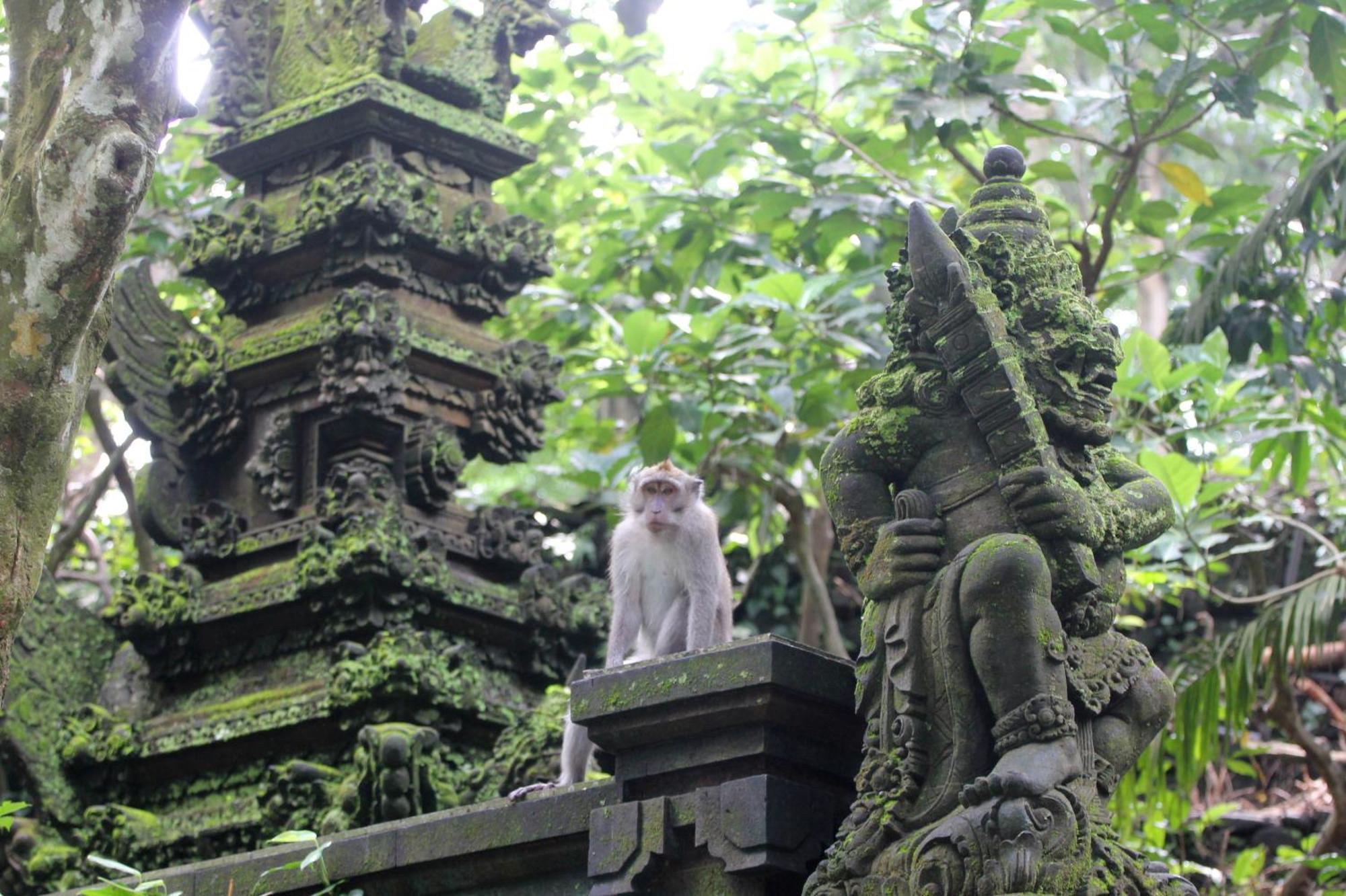 Sari Gong Guest House, A Trishula Collection อูบุด ภายนอก รูปภาพ